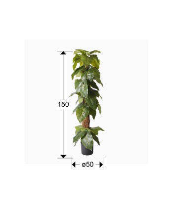 TARO- PLANTA ARTIFICIAL H150